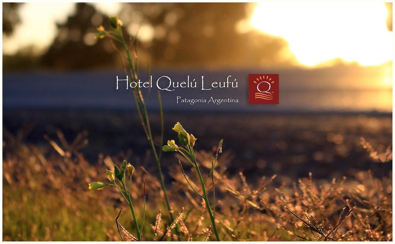 Hotel Quelu Leufu Rio Colorado Ngoại thất bức ảnh